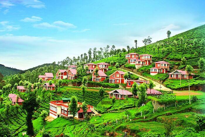 Ooty Seasonal Tour Packages | call 9899567825 Avail 50% Off